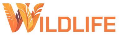 The Wildlife Game Platform